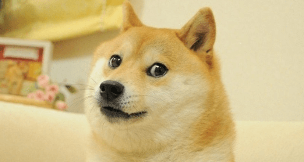 A picture of a Shiba Inu, the mascot behind the Doge meme